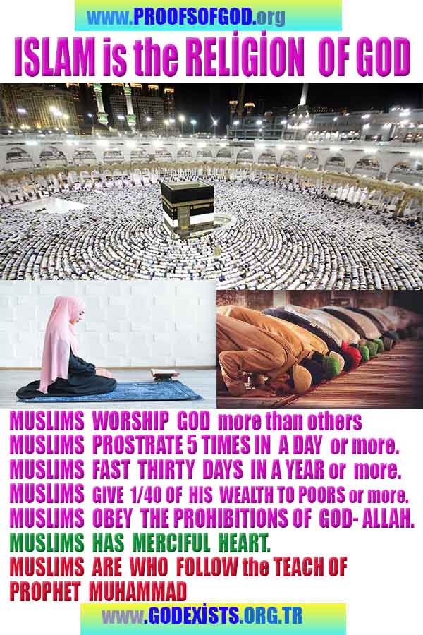 proofs of God, Evidences of GOD, Proofs God, Evidences God, God exists, God is real, Proofs of existance of God