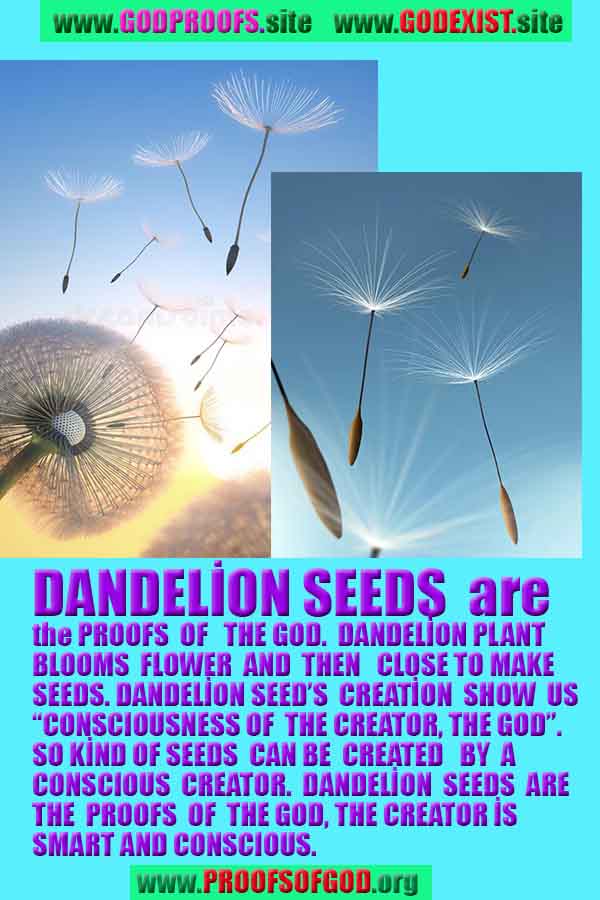 proofs of God, Evidences of GOD, Proofs God, Evidences God, God exists, God is real, Proofs of existance of God