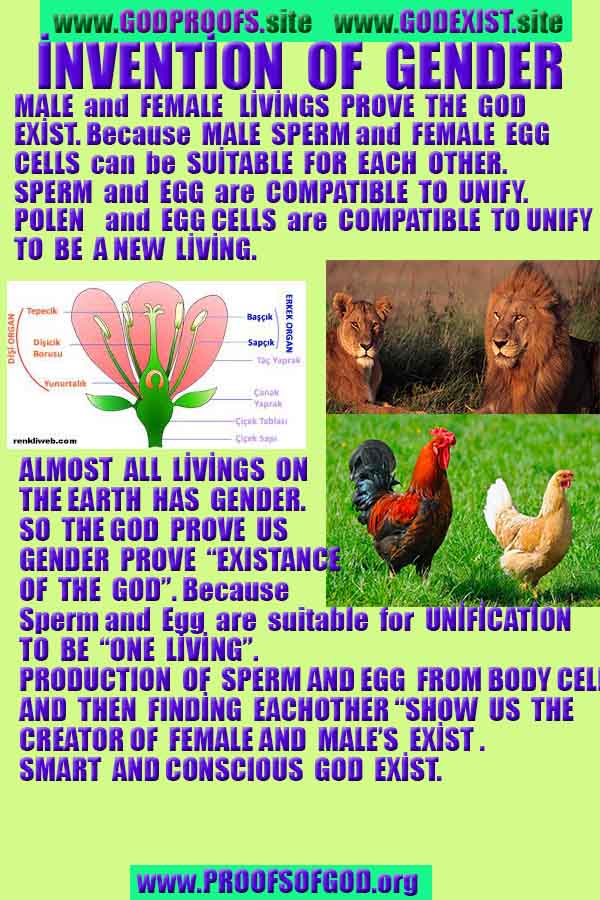 proofs of God, Evidences of GOD, Proofs God, Evidences God, God exists, God is real, Proofs of existance of God