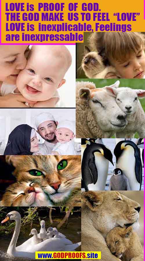 proofs of God, Evidences of GOD, Proofs God, Evidences God, God exists, God is real, Proofs of existance of God