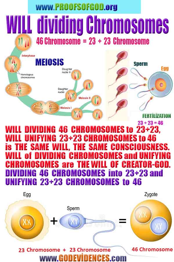proofs of God, Evidences of GOD, Proofs God, Evidences God, God exists, God is real, Proofs of existance of God