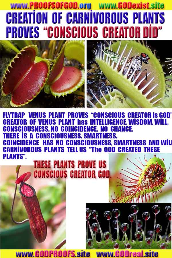 proofs of God, Evidences of GOD, Proofs God, Evidences God, God exists, God is real, Proofs of existance of God