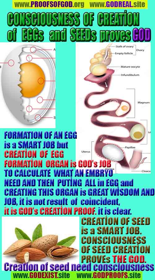 proofs of God, Evidences of GOD, Proofs God, Evidences God, God exists, God is real, Proofs of existance of God