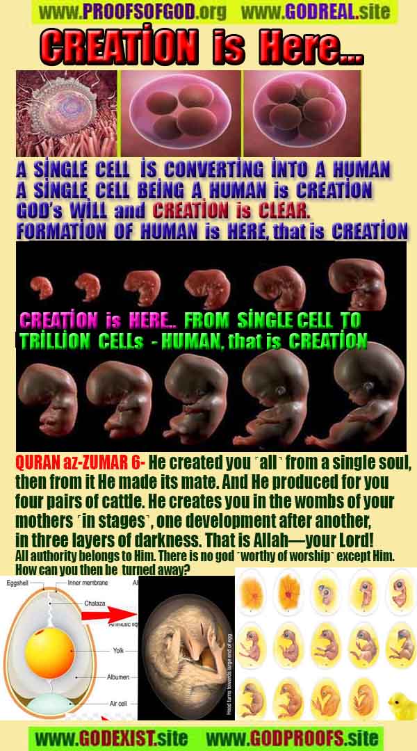proofs of God, Evidences of GOD, Proofs God, Evidences God, God exists, God is real, Proofs of existance of God