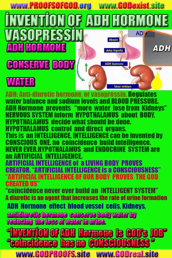 proofs of God, Evidences of GOD, Proofs God, Evidences God, God exists, God is real, Proofs of existance of God