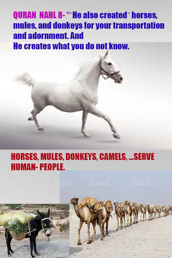 proofs of God, Evidences of GOD, Proofs God, Evidences God, God exists, God is real, Proofs of existance of God