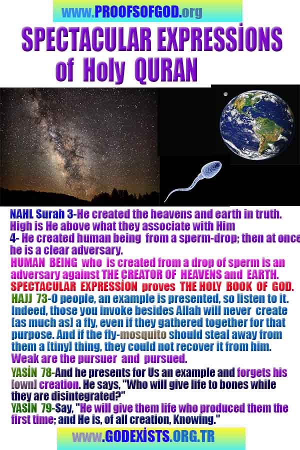 proofs of God, Evidences of GOD, Proofs God, Evidences God, God exists, God is real, Proofs of existance of God