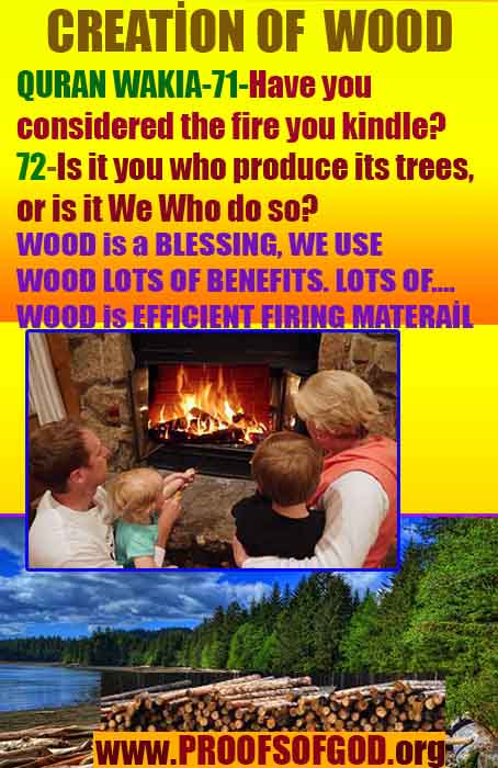 proofs of God, Evidences of GOD, Proofs God, Evidences God, God exists, God is real, Proofs of existance of God