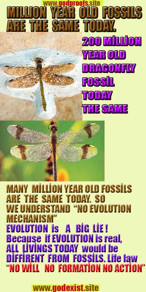 proofs of God, Evidences of GOD, Proofs God, Evidences God, God exists, God is real, Proofs of existance of God