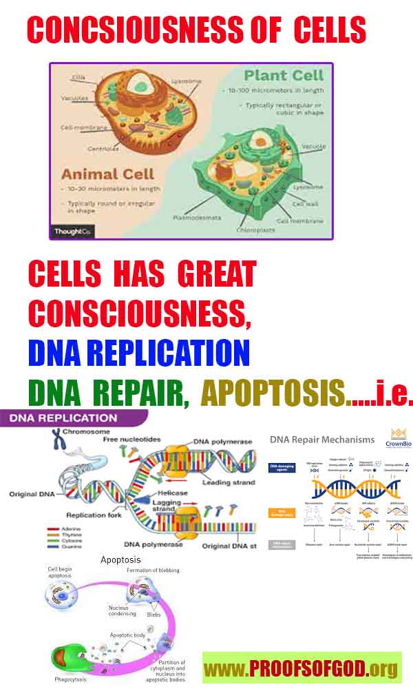 proofs of God, Evidences of GOD, Proofs God, Evidences God, God exists, God is real, Proofs of existance of God