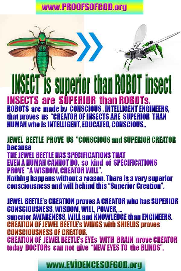 proofs of God, Evidences of GOD, Proofs God, Evidences God, God exists, God is real, Proofs of existance of God