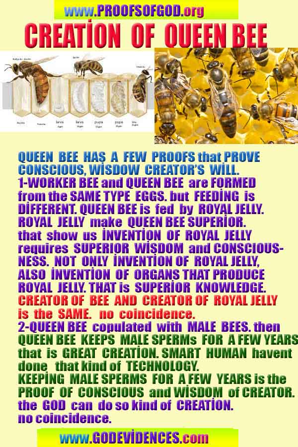 proofs of God, Evidences of GOD, Proofs God, Evidences God, God exists, God is real, Proofs of existance of God