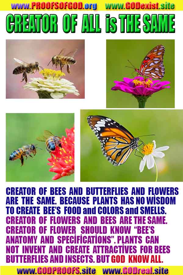 proofs of God, Evidences of GOD, Proofs God, Evidences God, God exists, God is real, Proofs of existance of God