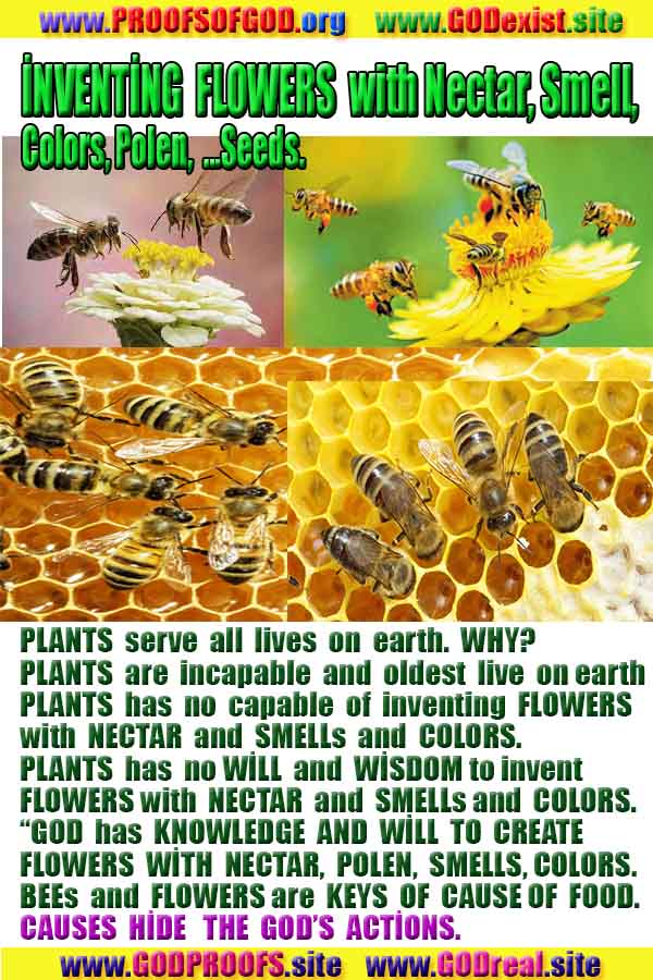 proofs of God, Evidences of GOD, Proofs God, Evidences God, God exists, God is real, Proofs of existance of God