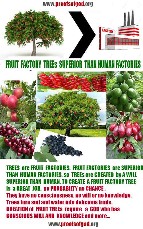 proofs of God, Evidences of GOD, Proofs God, Evidences God, God exists, God is real, Proofs of existance of God